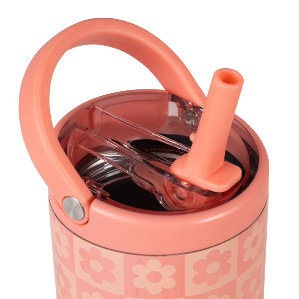 Daisy Checkers J6