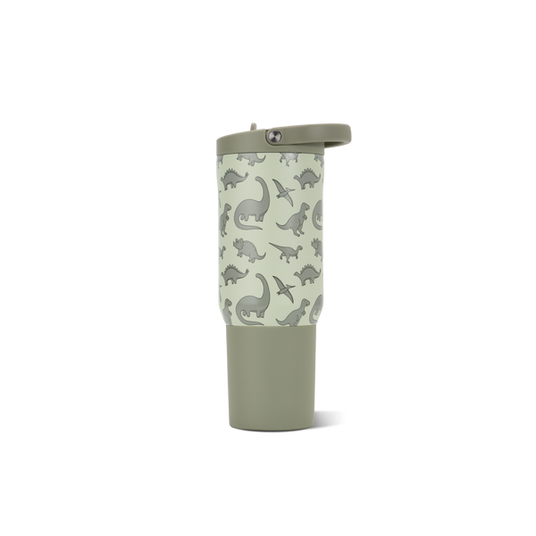 Dinosaur D4